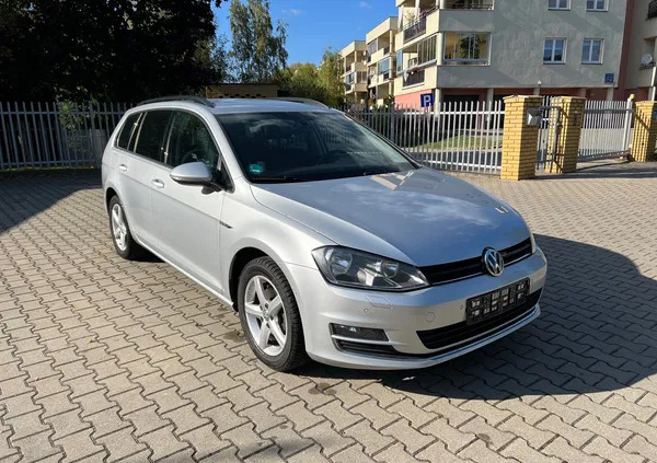 samochody osobowe Volkswagen Golf cena 31500 przebieg: 204000, rok produkcji 2014 z Łódź